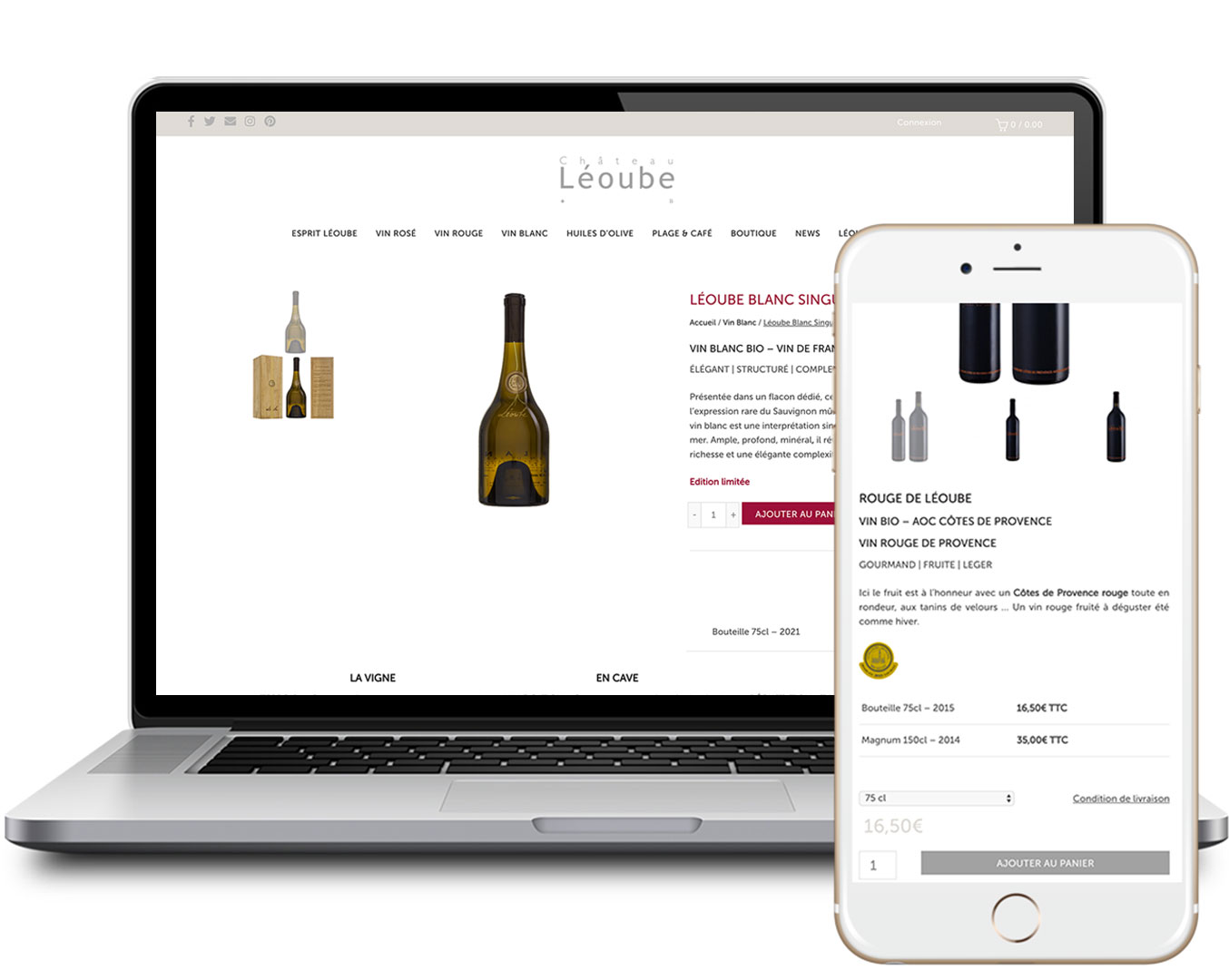 Creation-site-e-commerce-agence-web-expert-Toulon-Marseille-Nice-Monaco