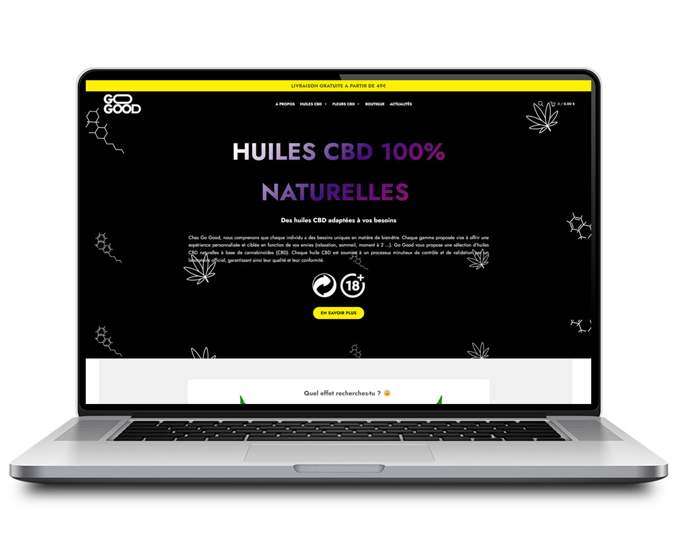 Agence web Toulon - Création site web CBD SHop